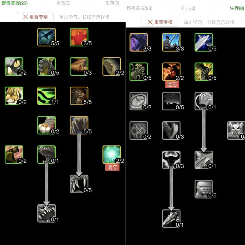 魔兽猎人进阶指南：从新手到高手进阶之路全面解析