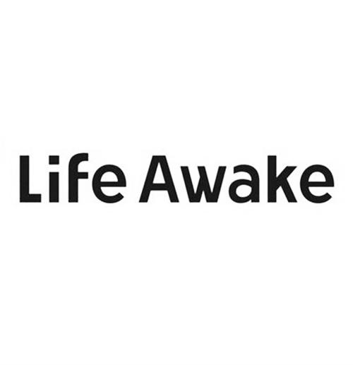 lifestart syaro.io官网：在线玩人生重开模拟器，快来体验！