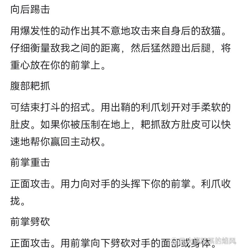 猫射手技能加点：攻击、闪避哪个更重要？