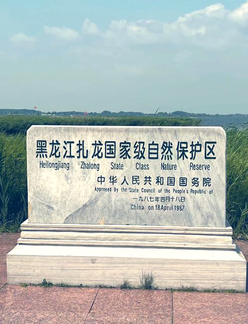 刺喉幼龙在哪抓？湿地稀有宠物获取指南