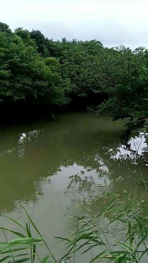 魔兽世界钓鱼去哪钓？老玩家分享几个钓鱼宝地！