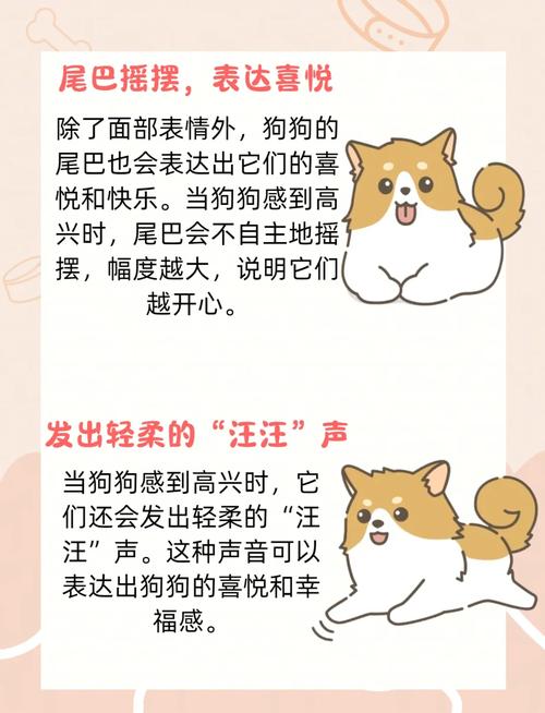 每天大笑能减肥吗？科学研究告诉你答案！