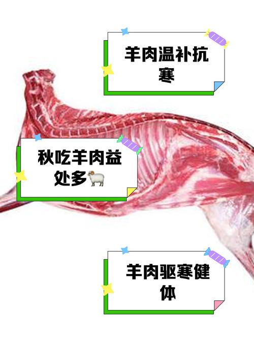 支付宝蚂蚁庄园提问：羊肉是白肉吗？答案揭晓！
