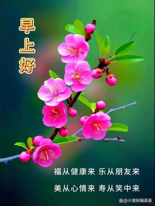 嘿，早上好！特别嘉宾是育美。 AI汉化版[2.9G]