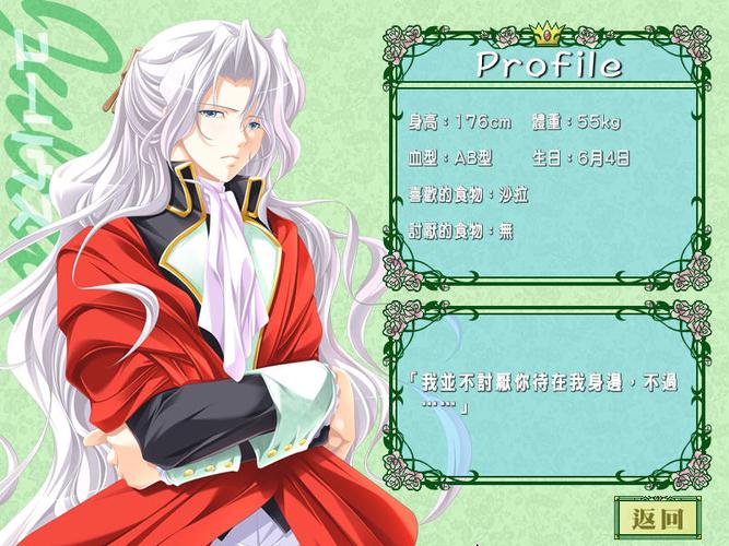 【SLG】王子的奇幻冒险 Vis V1.1 精翻汉化版【3G】【网盘下载】