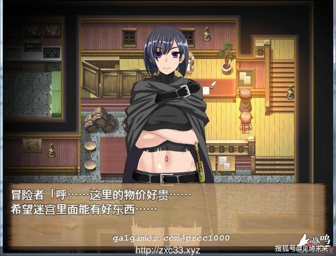 【RPG／露出／精翻汉化／口交／中出】[RJ179531／サレンダーミルク社团]谁都可以做到的村庄复兴计划~媞娅的玩具屋／誰にでもできる村の復興計画[Ver1.0+全CG存档]【PC／500M】