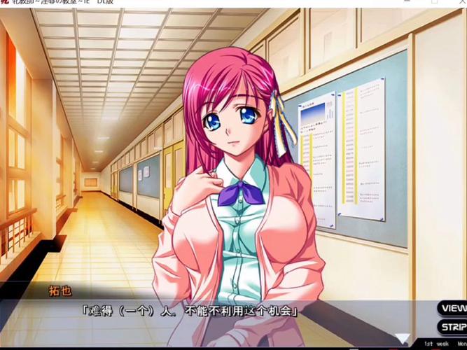 [神级拔作新汉化全动态]虏之绊 ~掠夺学园与处女哀鸣虜ノ～AI汉化版+DLC+全CG存档[电脑4G／FM／BD]