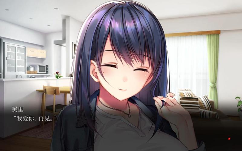 [ADV机翻NTR有动画][夏季限定110円] 夏の照明。[电脑1.5G／FM／BD]