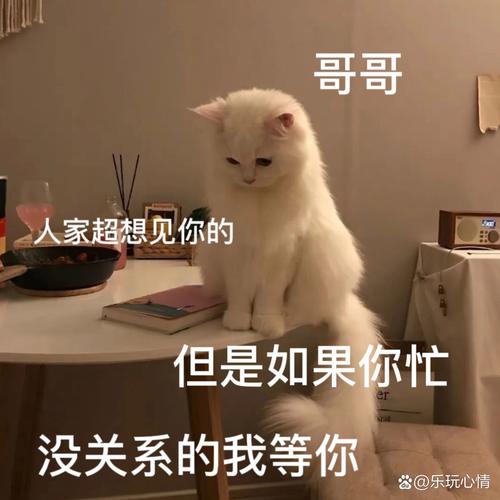 乖乖地请求吧，哥哥「你想被妹妹怎么欺负呢？」 AI汉化版[647M]