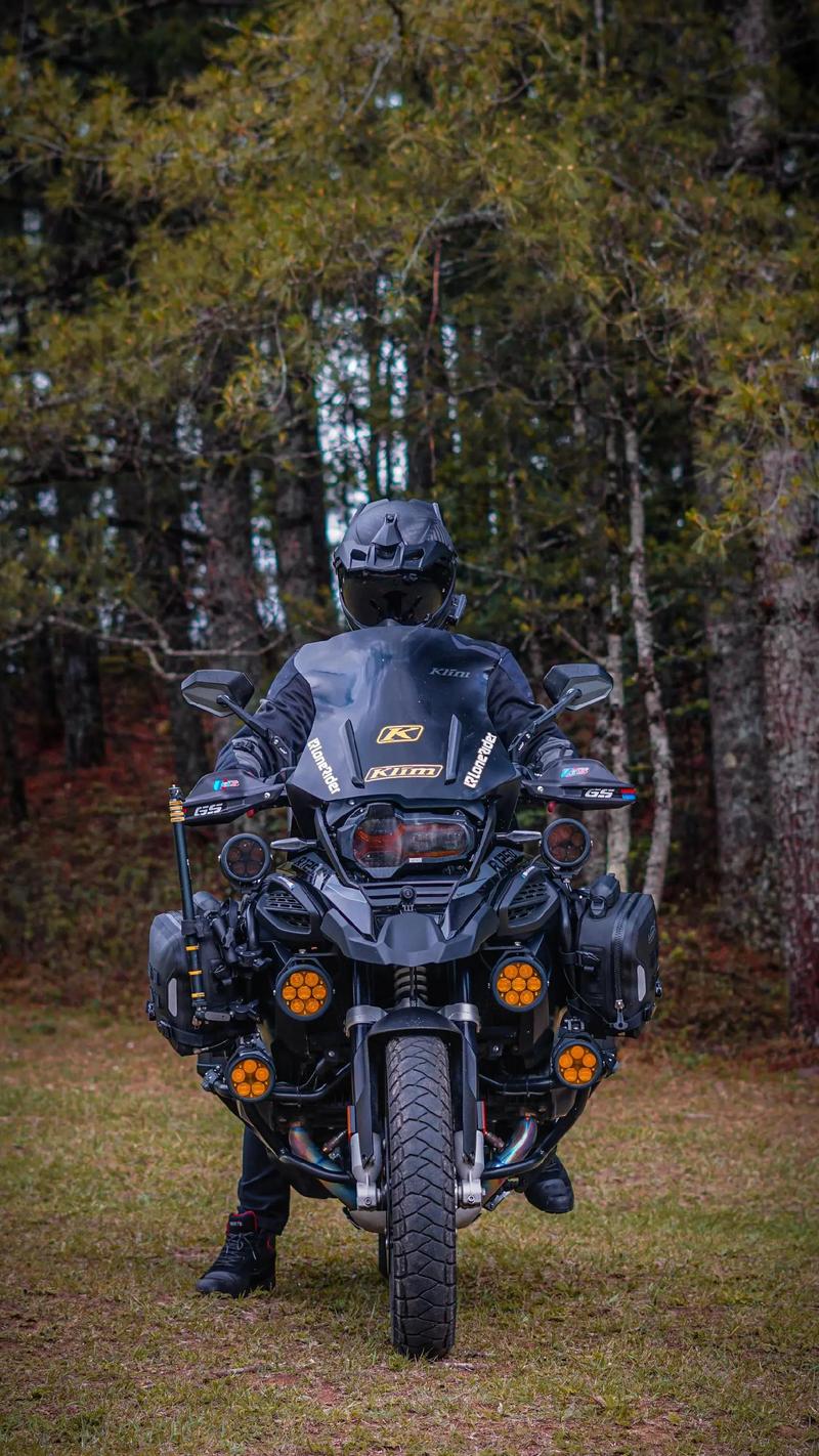 [ADV] STEAM官方中文版+全CG存档 魔女的花园HD