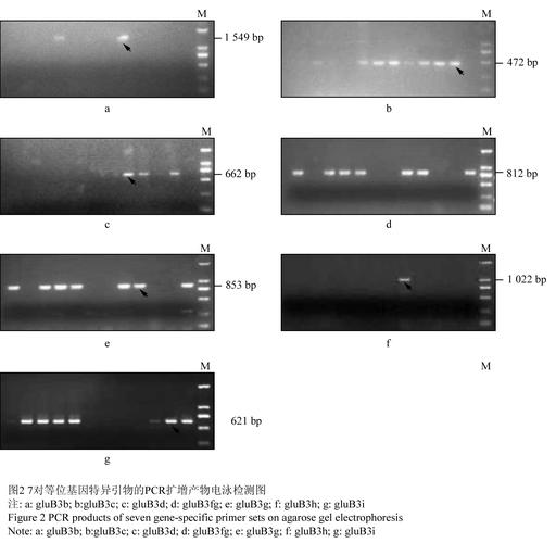 【PCRPG中文】郊区王子 Build.9405225 STEAM官方中文版【电脑1.23G】