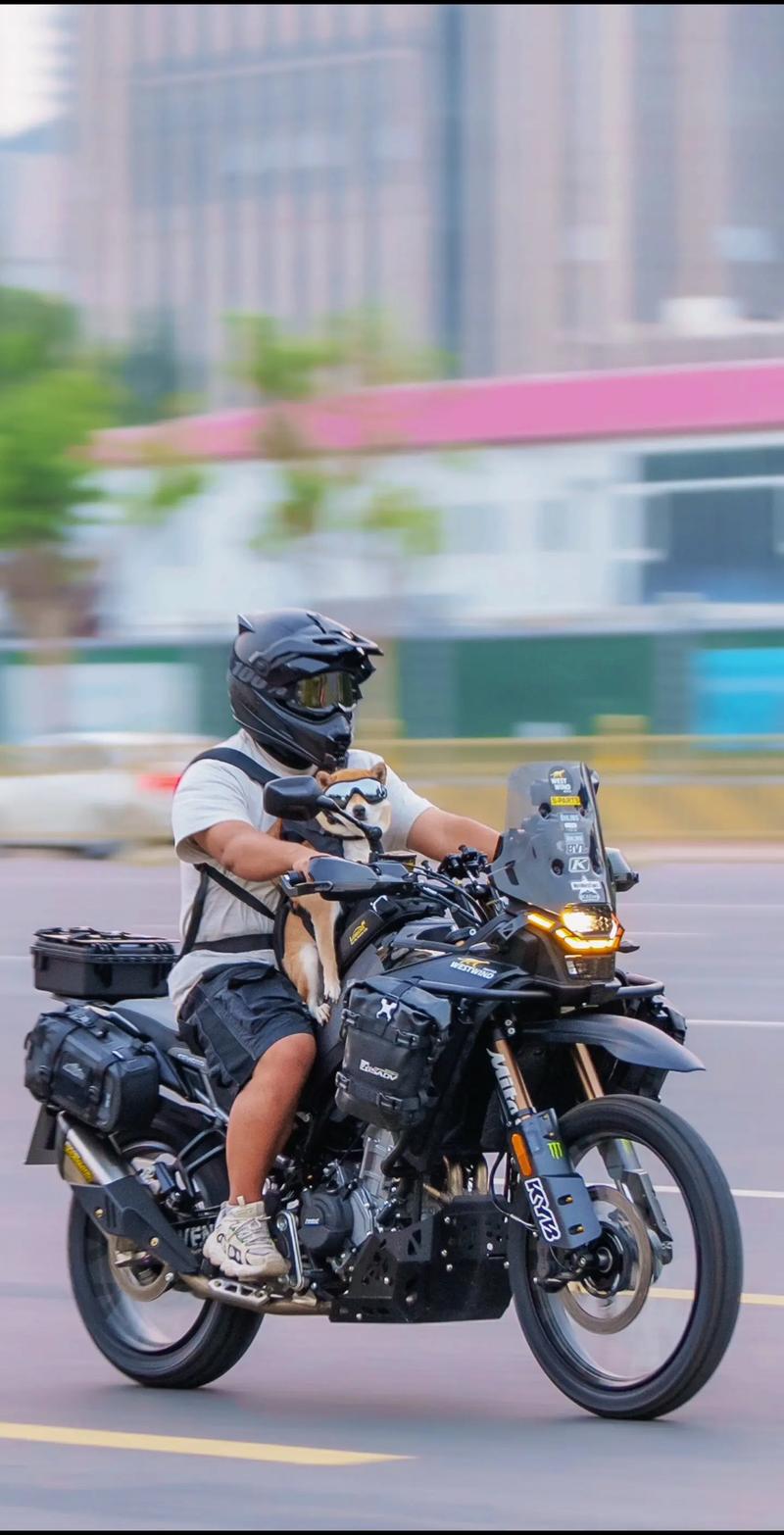 【ADV／机翻+AI文本／耻辱／肛交／NTR】[RJ01071861／ふじきの社团]夏季照明。／夏の照明。[Ver24.07.22]【PC／2G】