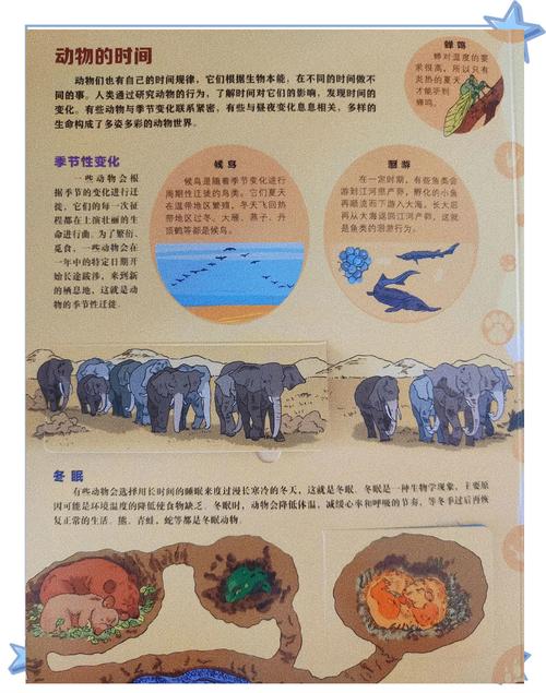 在时间的潮流中：探索时间旅行绅士游戏的奥秘