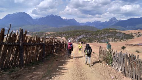 探寻木里人鱼下载之路：畅享奇幻冒险