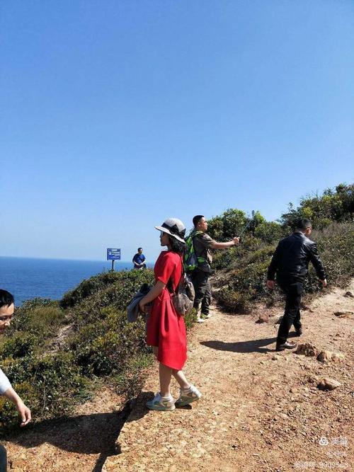 探寻木里人鱼下载之路：畅享奇幻冒险