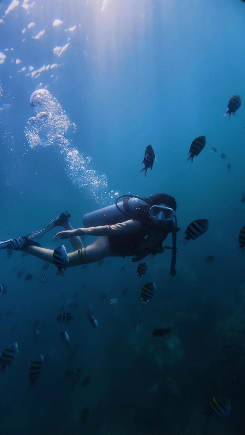 探索超潜世界：下载途径全解析