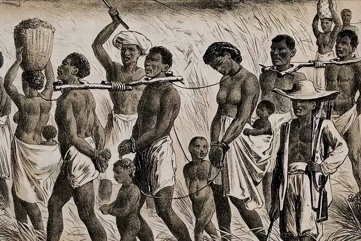 发现奴隶训练的魅力：安卓汉化背后的故事