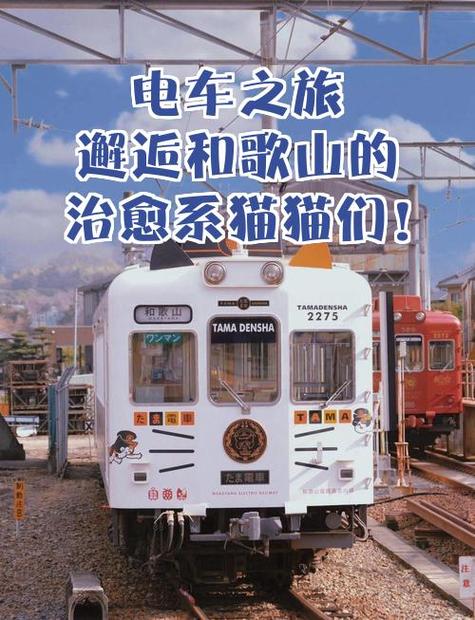 邂逅电车版本大全：探索奇幻轨道上的情感交织