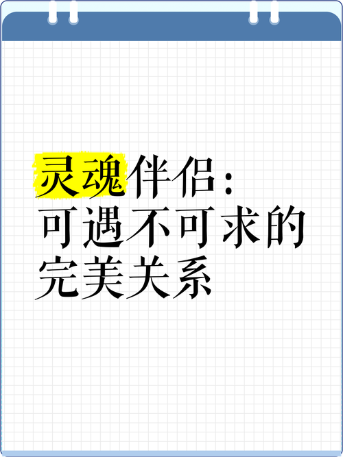 探寻灵魂伴侣:官方正式版下载最新版带来的新体验