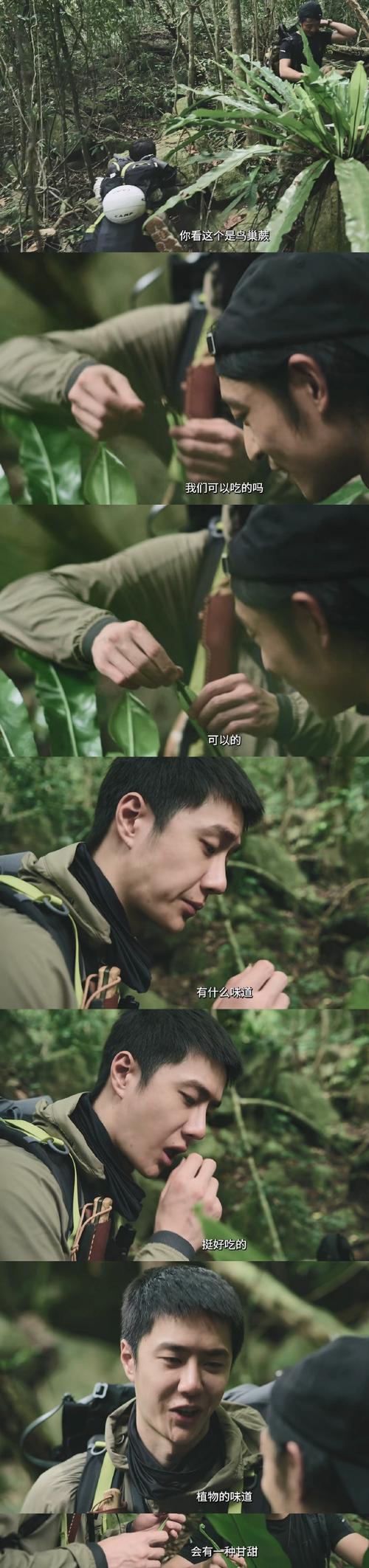 探索勇气之爱的更新地址,开启绅士游戏的新篇章