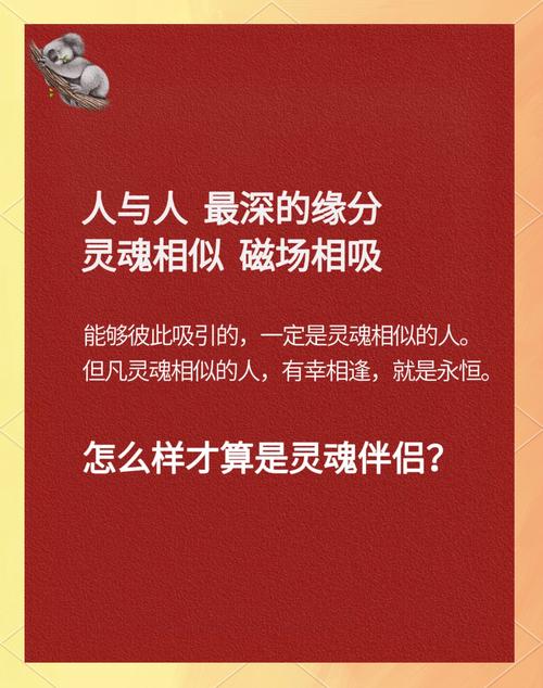 在灵魂伴侣的世界中探寻绅士游戏的魅力