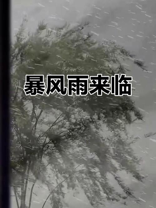 在狂风骤雨中寻找荣耀：叛道武士游戏的魅力全景