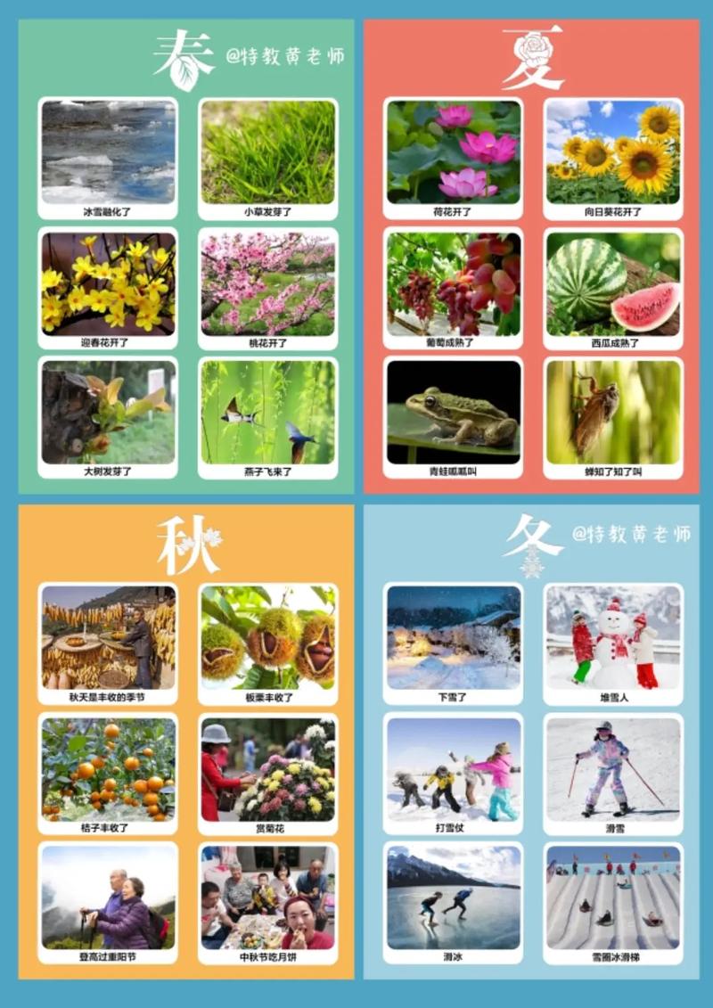 四季官网使用教程：新手必看，轻松上手的实用指南