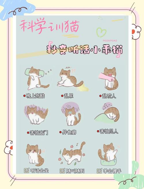 猫研社最新版本使用教程:新手友好的操作指南