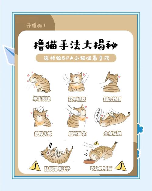 猫研社最新版本使用教程:新手友好的操作指南
