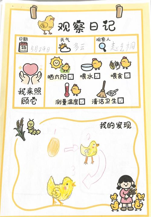 探索成长之物更新日志:全新体验与独特魅力的交汇点