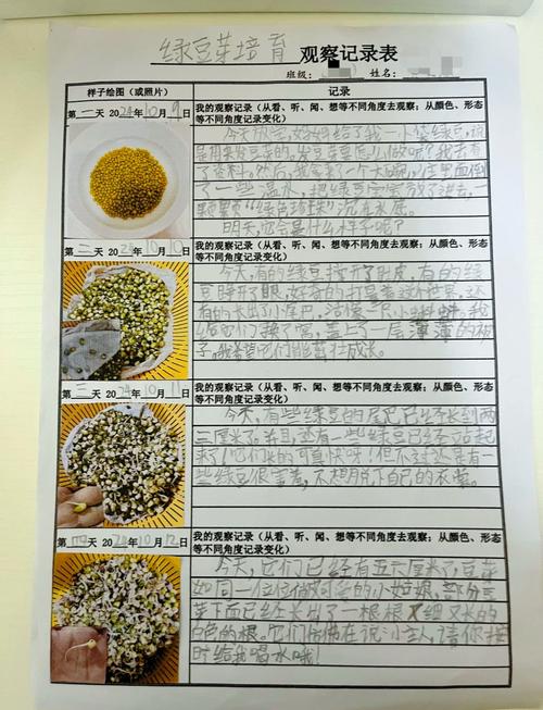 探索成长之物更新日志:全新体验与独特魅力的交汇点