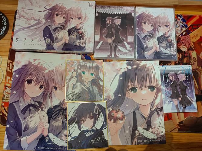 樱之刻最新操作手册