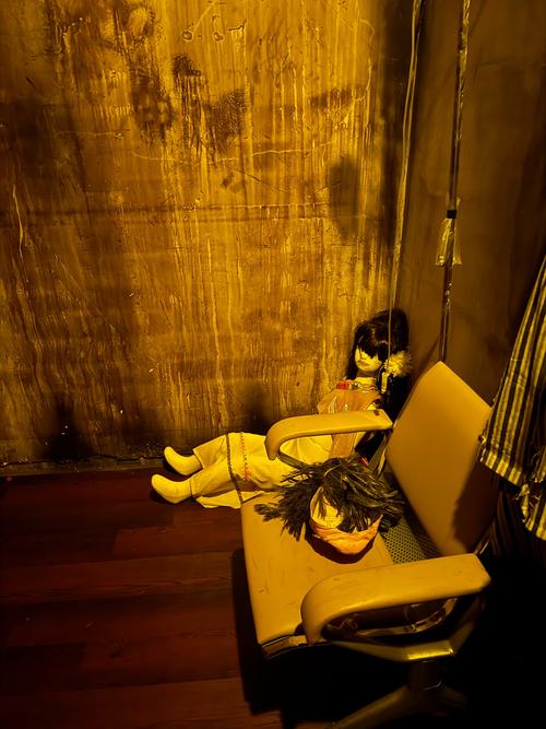 探索屋内有鬼最新:在惊悚与魅惑之间的旅程