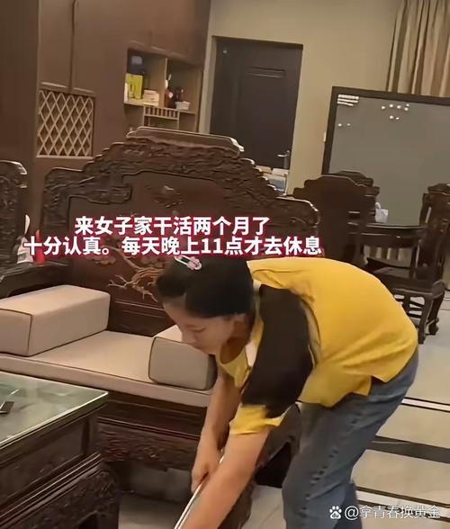 探索“保姆儿媳”在安卓平台的成功之道及市场前景分析