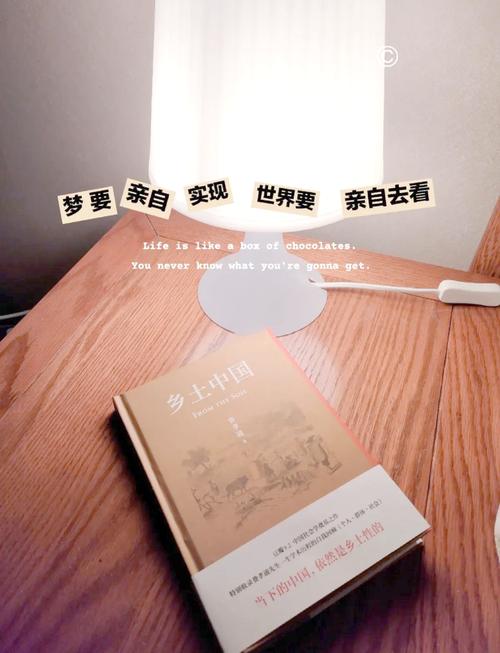 在乡村的秘密中探索:乡间性活安卓下载之旅