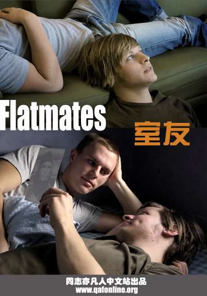 室友官方正式版下载最新版详细教程