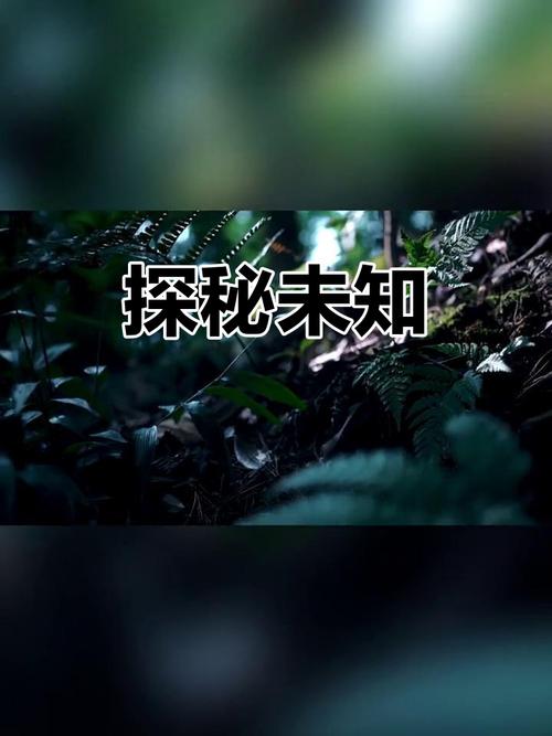 揭开强势逆推的神秘面纱：下载与体验指南