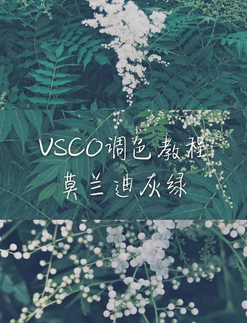 详细教程:如何下载绿母控游戏的实用技巧