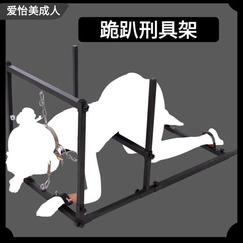 奴隶训练最新版本的探索与创新