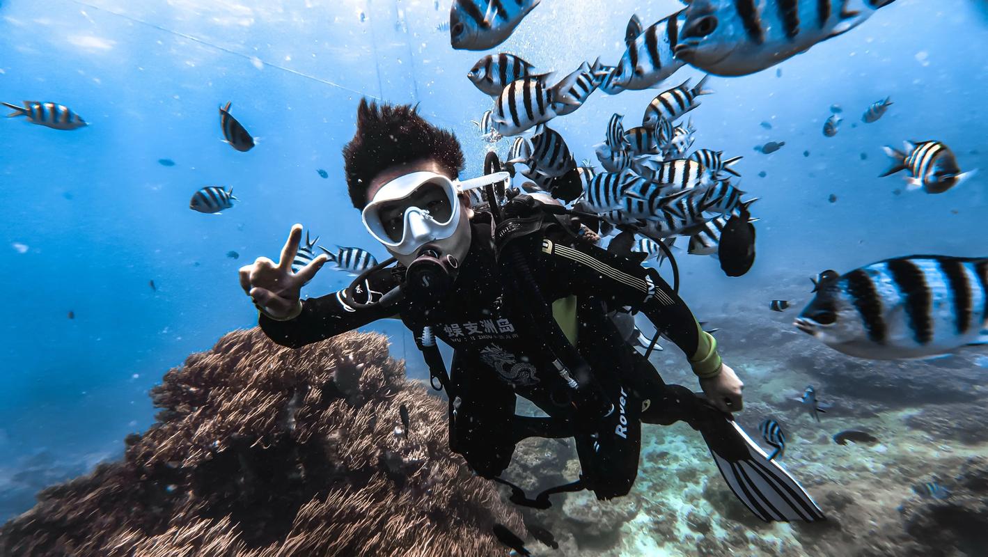 探索超潜世界官网:一个奇妙的虚拟冒险之旅