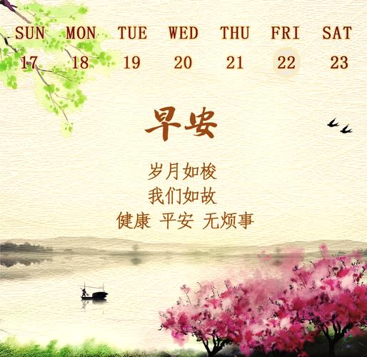 深入了解浅安安更新日志：新手使用指南与实用技巧