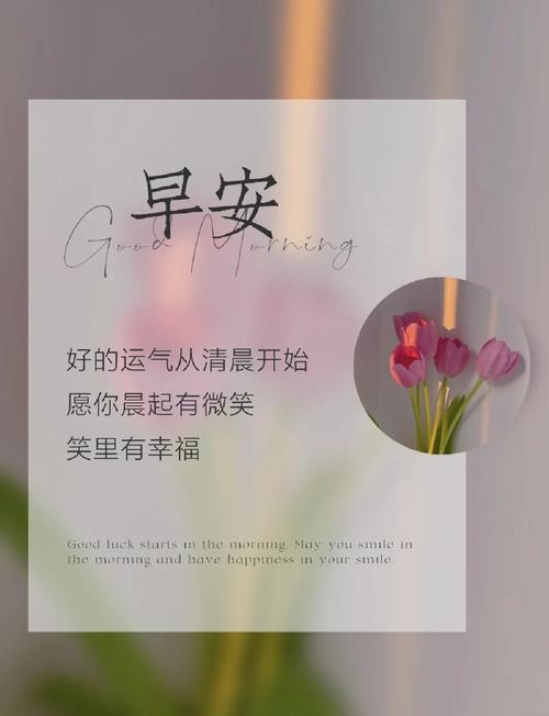 深入了解浅安安更新日志:新手使用指南与实用技巧