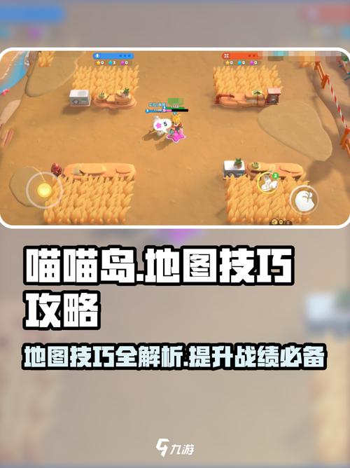 如何在喵喵岛2中尽情探索，打造属于你的猫咪乐园