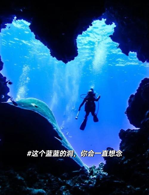 探索超潜世界：深度揭秘游戏攻略与乐趣