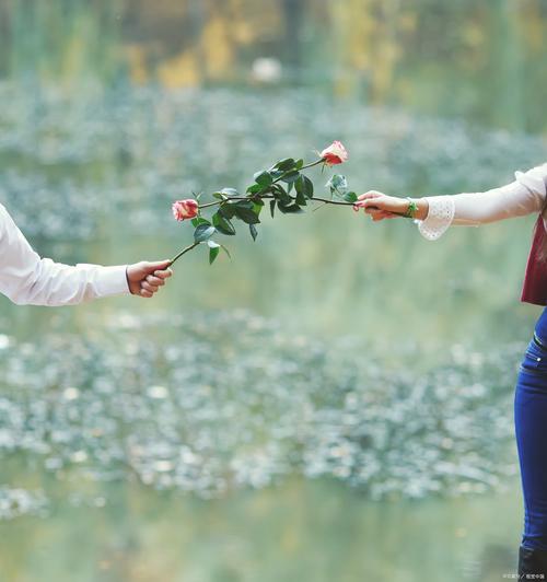 探寻“纯洁的爱”之美：在安卓上下载与享受的魅力