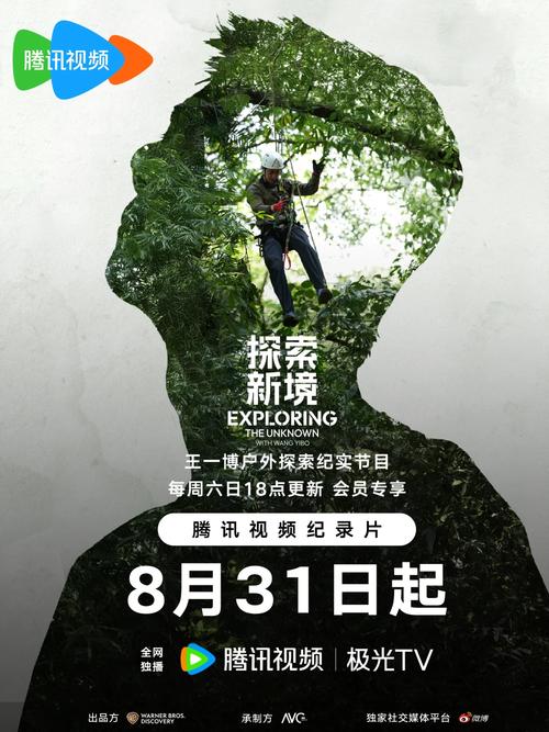 探索年度最佳最新版本:为何这些游戏令玩家心醉神迷