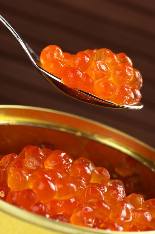 如何下载鱼子酱:详细操作教程与注意事项