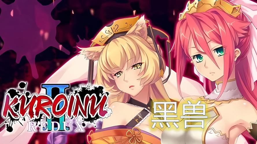 黑兽改下载地址使用详解：新手必读教程