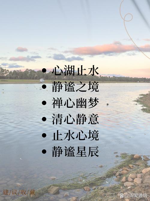 探寻心灵深处的宁静与美好：《庭树沐年》游戏介绍