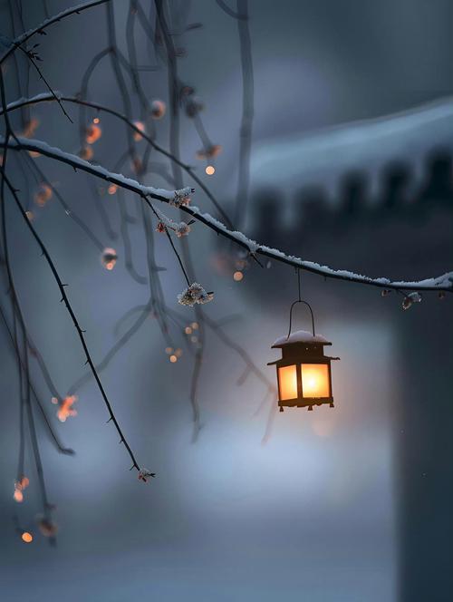 探寻心灵深处的宁静与美好:《庭树沐年》游戏介绍